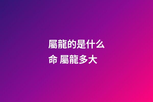 屬龍的是什么命 屬龍多大-第1張-觀點-玄機派